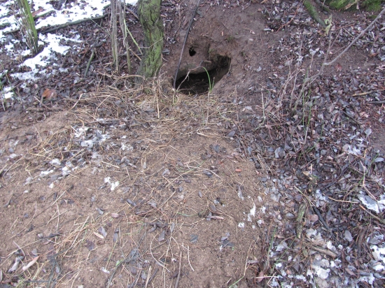 aj tu už asi niekto býva ...