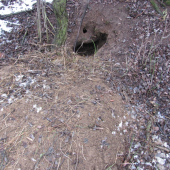 aj tu už asi niekto býva ...