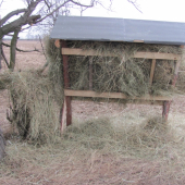 už na mieste prevezený a naplnený