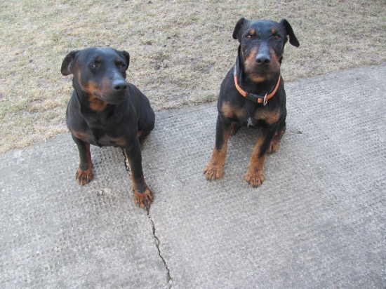 Gasko Komjatické jazero a Inta zo Skalickej