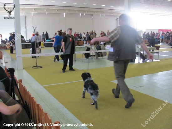 NitraDog 2012