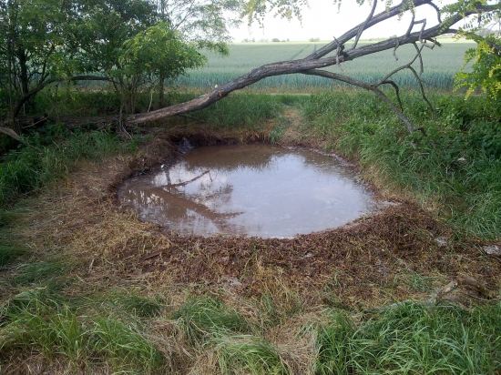 diviaky už majú aj vodu napustenú
