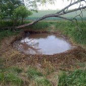 diviaky už majú aj vodu napustenú