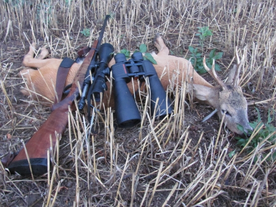 Diana mi zase dopriala