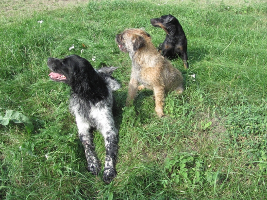 nepozrieme sa mu do foťáka ani za ten svet :))