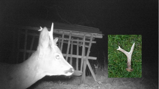 tuším je to on , čo poviete ? :)