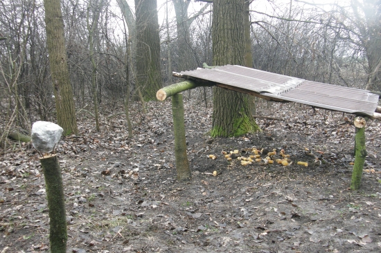 niečo nové pre zver