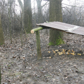 niečo nové pre zver