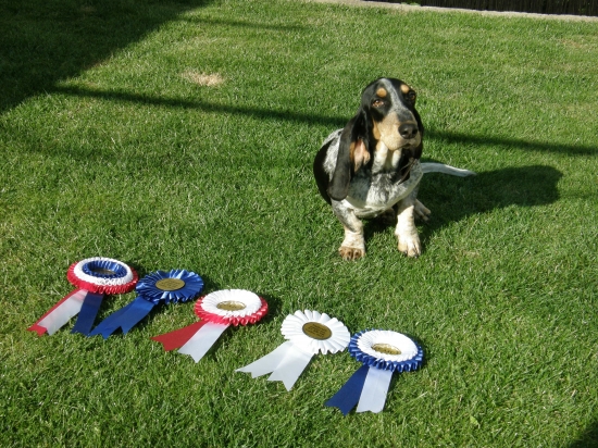 Prvý výstavný úspech