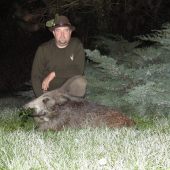 posledné septembrové prasiatko