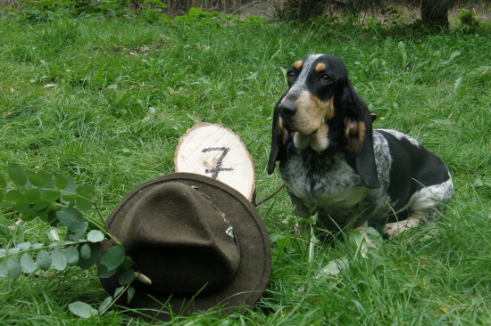 úspech na skúškach