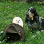 úspech na skúškach