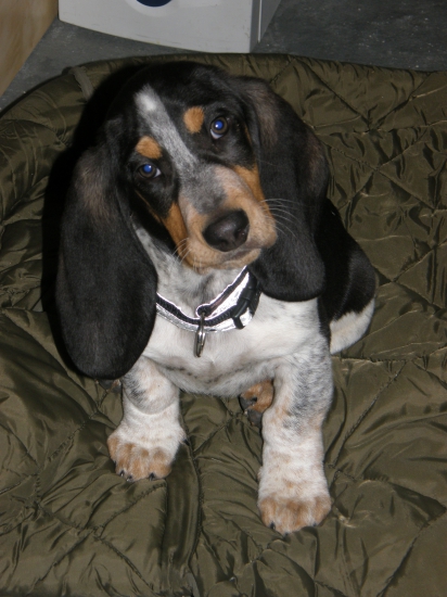 nová francúzska posila :)