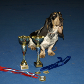 MVP Nitra