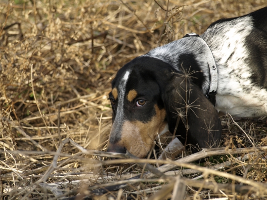 Francúz spoznáva slovenské pachy prírody .
