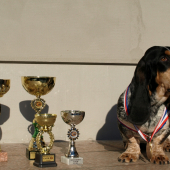 Duo CACIB Brno