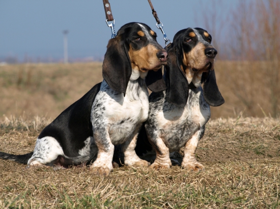 Athene Blue + Jean Blue