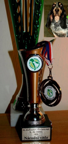 XI. Hanácka národná výstava psov, Brno. 09.01.2016