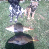 čakali sme na kačicu chytili sme kaprov