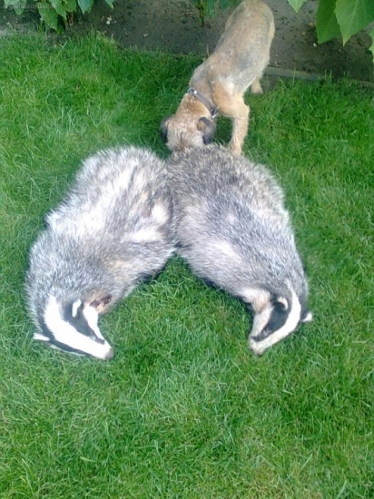 ulovok zo včerajšieho večera