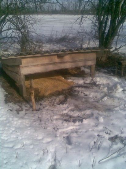 dnešne prikrmovanie