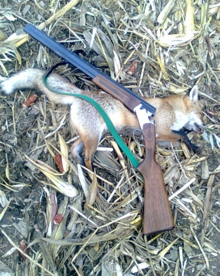 Dnešná,, moja tretia