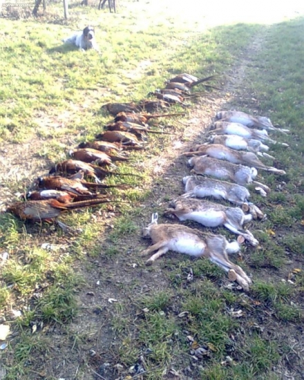 naša druhá spoločná