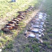 naša druhá spoločná