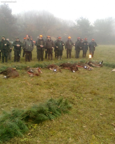 výrad po spoločnej na SD Partizánske