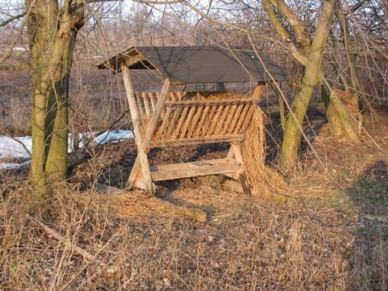 týžden po naplnení