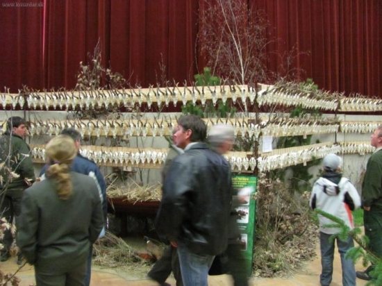 Levické polovné dni