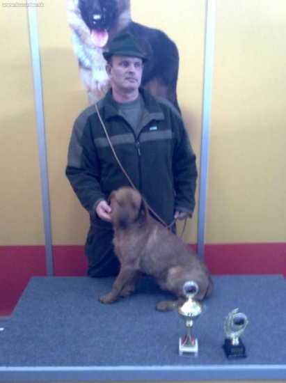 štajerák Alf,, CAC.BOB a jeho spokojny majitel  Nitracanis