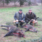 moje dnešné prasiatko na spoločnej u kamaráta