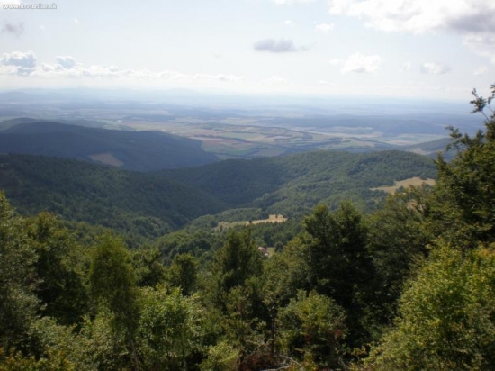 panoraama