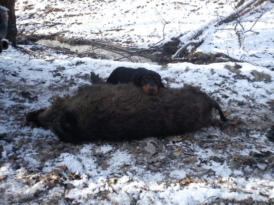 ako pekne si ho stráááži