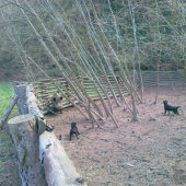 Patík a jagoš v akci