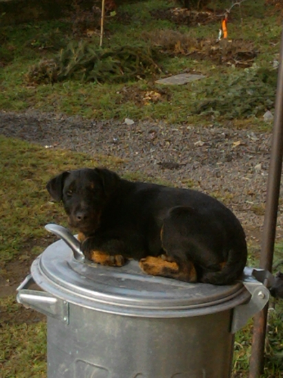 Mám tu lepší rozhled