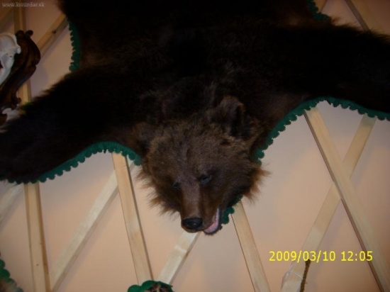 Region Žilina-Bytča vystava