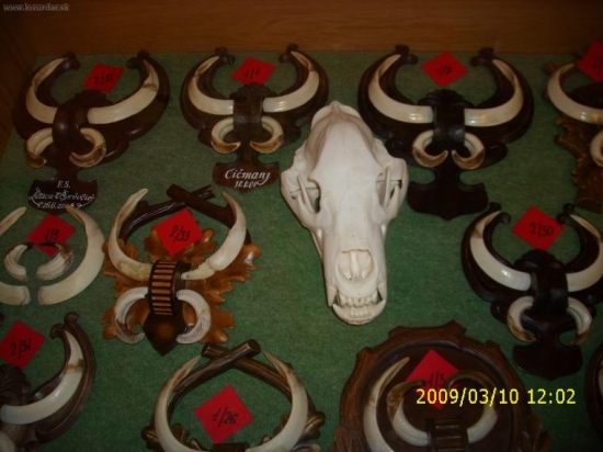 Region Žilina-Bytča výstava