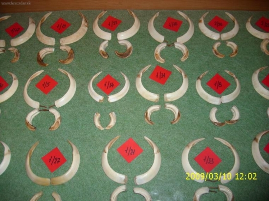 Region Žilina-Bytča výstava