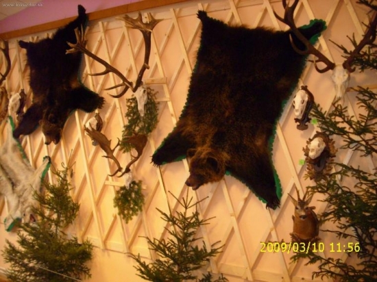 Region Žilina-Bytča výstava