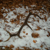 Novoročné šťastie priateľ Pegi