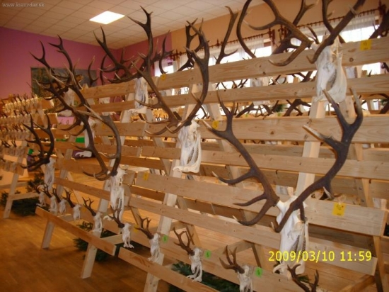 Region Žilina-Bytča chovateľska prehliadka