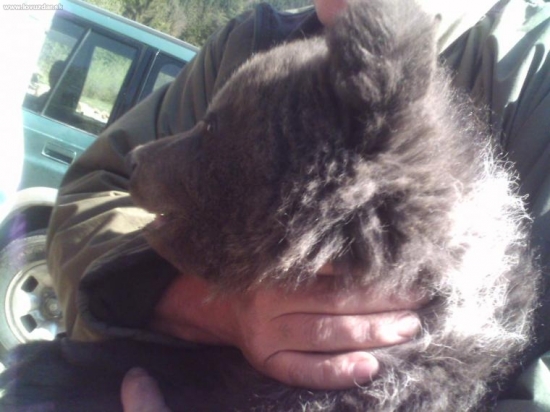 macko-poziar Stare Hory