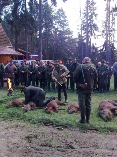 Stefanska polovacka 2