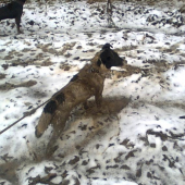 ja tak rad norujem a potom takto vyzeram