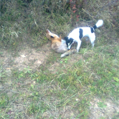 dnesna druha aj s pomocnikom