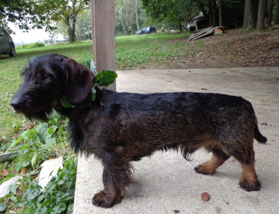 Lukas spod Klinkovice