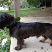 Lukas spod Klinkovice