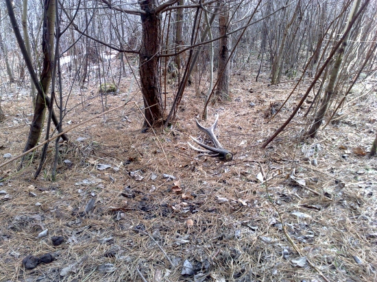 minulorocny 10toracik